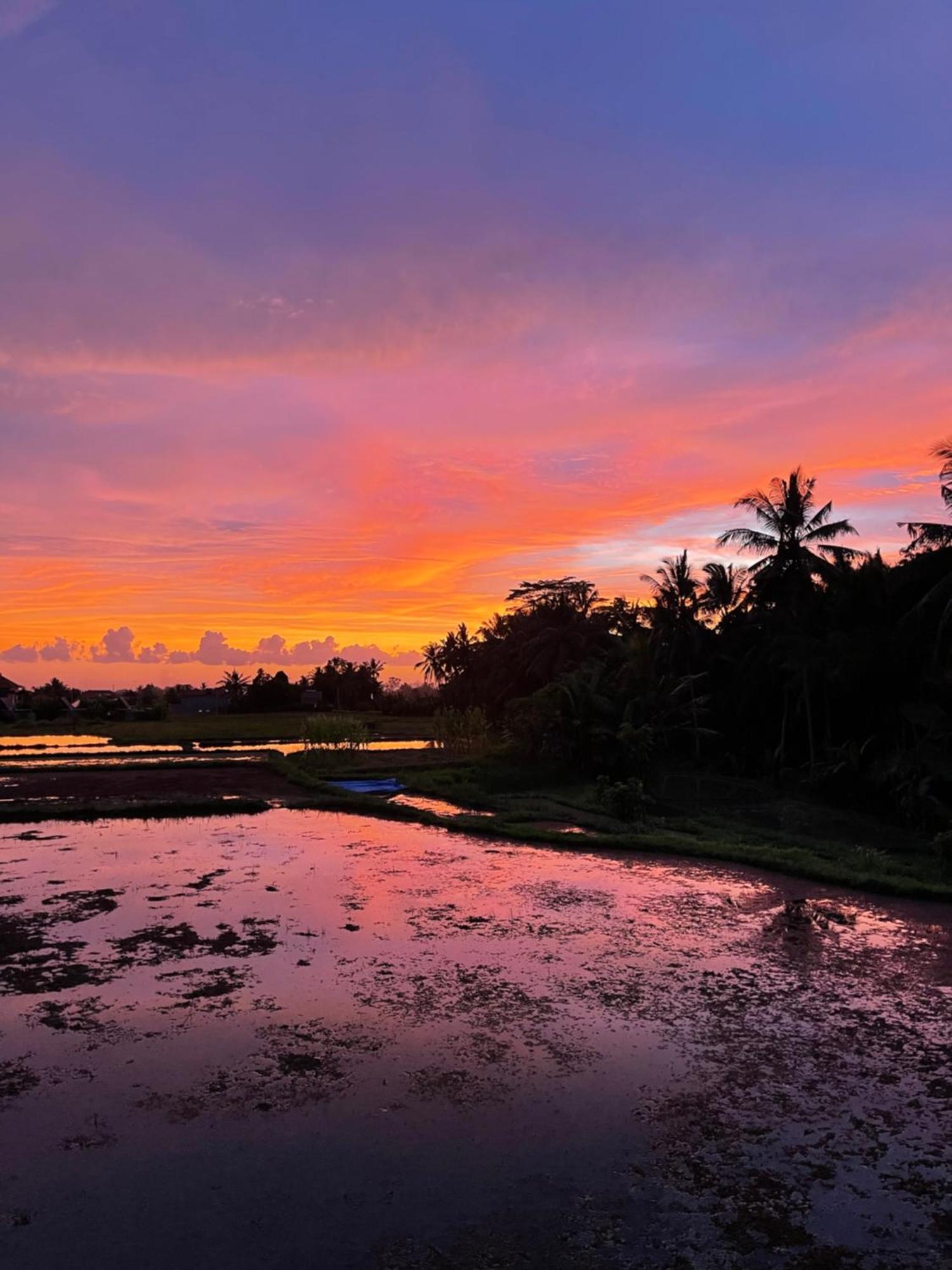 The Luxe Ubud Kültér fotó